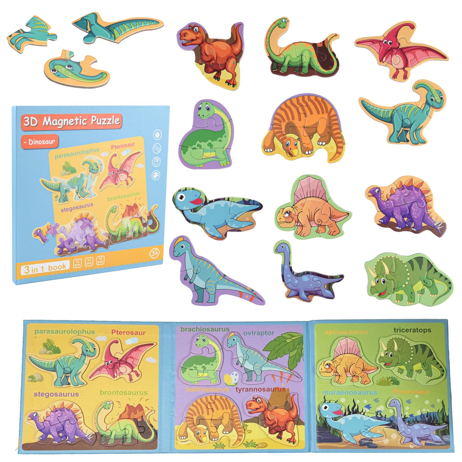 Magnetic Puzzles